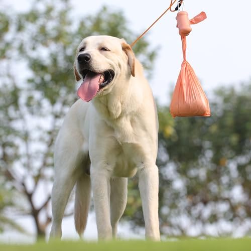 Deo Doo Dog Poop Bags with Handles, 360 Bags, 30 Refill Rolls
