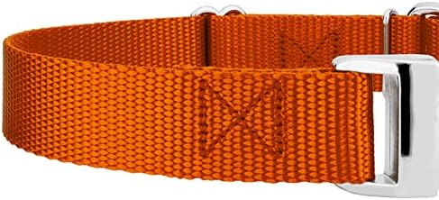 Country Brook Petz - Martingale Dog Collar - Heavy Duty Nylon Adjustable Martingale Dog Collar with Metal Buckle for Small Medium Large Breeds - 30+ Color Options (1 Inch, Medium, Orange)