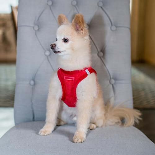 Voyager Step-in Plush Dog Vest Harness -Red Corduroy, Small