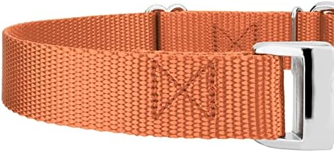 Country Brook Petz - Martingale Dog Collar - Heavy Duty Nylon Adjustable Martingale Dog Collar with Metal Buckle for Small Medium Large Breeds - 30+ Color Options (3/4 Inch, Small, Coral)