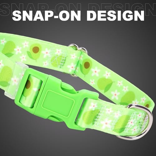 Nylon Dog Collar for XL Dogs,Soft Nylon Dog Collar with Cute Avocado-XL