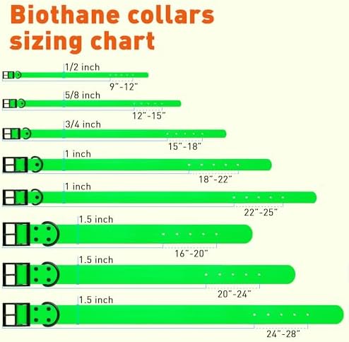Dogline Biothane Waterproof Dog Collar Strong Coated Nylon Webbing with Black Hardware Odor- Proof for Easy Care Easy to Clean High Performance Fits Small Medium or Large Dogs, Tropical Green