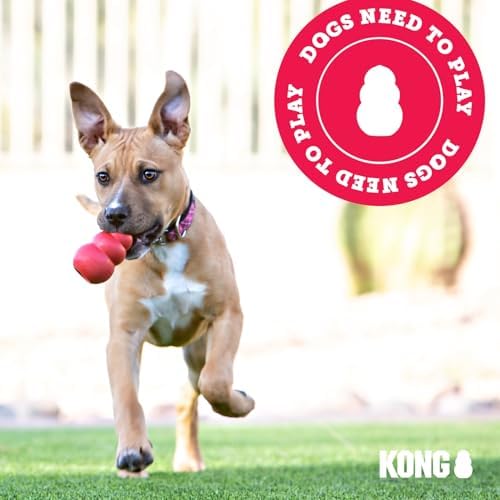 KONG Extreme Dog Toy - Fetch & Chew Toy - Treat-Filling Capabilities & Erratic Bounce for Extended Play Time Most Durable Natural Rubber Material - for Power Chewers - for Large Dogs (Pack of 3)