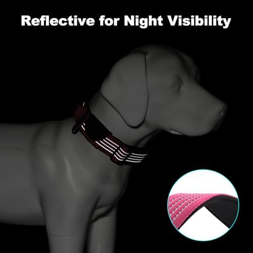Plutus Pet Tactical Dog Collar with Pocket for AirTag, Pink, M