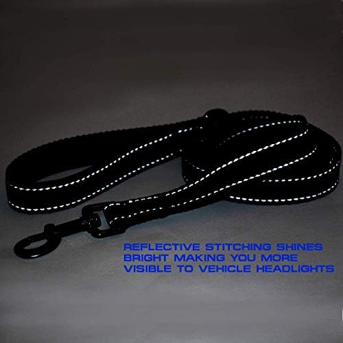 Max and Neo Double Handle Traffic Dog Leash - Reflective, Donates to Dog Rescue (Purple, 6 FT)
