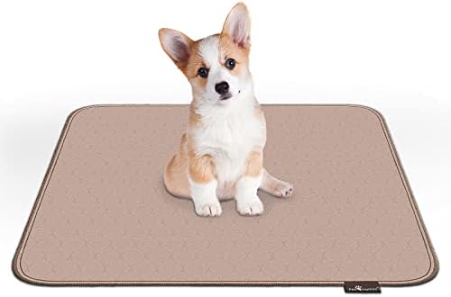 Paw Inspired Washable Pee Pads for Dogs, 32x30 Inch, 2 Pack
