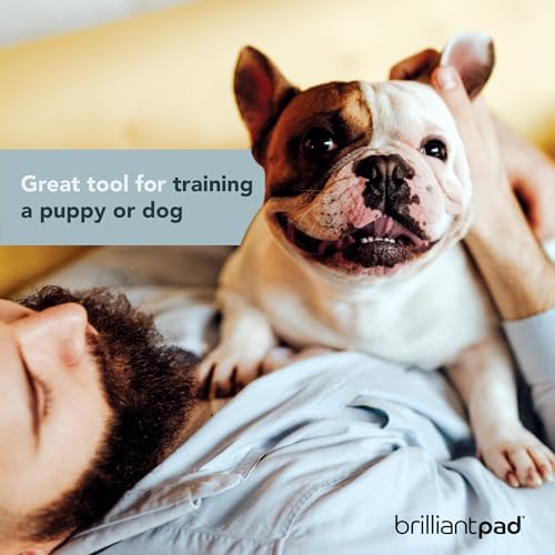 BrilliantPad Go Here! Puppy Potty Training Spray, Natural Attractant (4 oz)