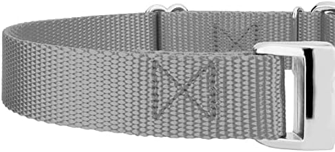 Country Brook Petz - Martingale Dog Collar - Heavy Duty Nylon Adjustable Martingale Dog Collar with Metal Buckle for Small Medium Large Breeds 30+ Color Options (1 Inch, Large, Silver)