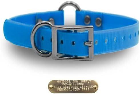 Heavy Duty D & Center Ring Dog Collar w Custom Name Tag, Light Blue 21"