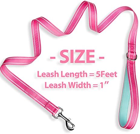 PHOEPET 5 Feet Dog Leash with Comfortable Padded Handle Easy Snap Clasp