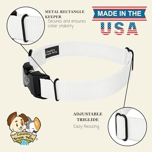 Country Brook Petz - Premium Nylon Dog Collar with Metal Buckle for Small Medium Large Breeds - 30+ Colors (Medium, 3/4 Inch, White)