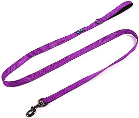 Max and Neo Reflective Nylon Dog Leash - Purple, 4 Feet