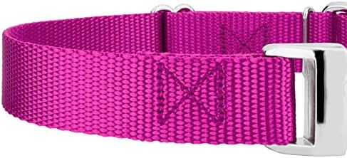 Country Brook Petz - Martingale Dog Collar - Heavy Duty Nylon Adjustable Martingale Dog Collar with Metal Buckle for Small Medium Large Breeds - 30+ Color Options (1 Inch, Extra Large, Fuchsia)