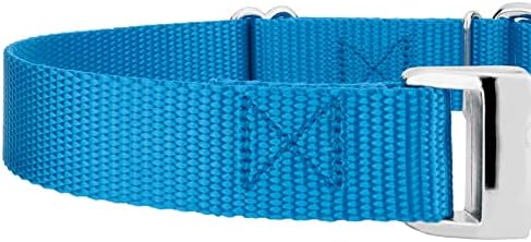 Country Brook Petz - Martingale Dog Collar - Heavy Duty Nylon Adjustable Martingale Dog Collar with Metal Buckle for Small Medium Large Breeds - 30+ Color Options (3/4 Inch, Small, Ice Blue)