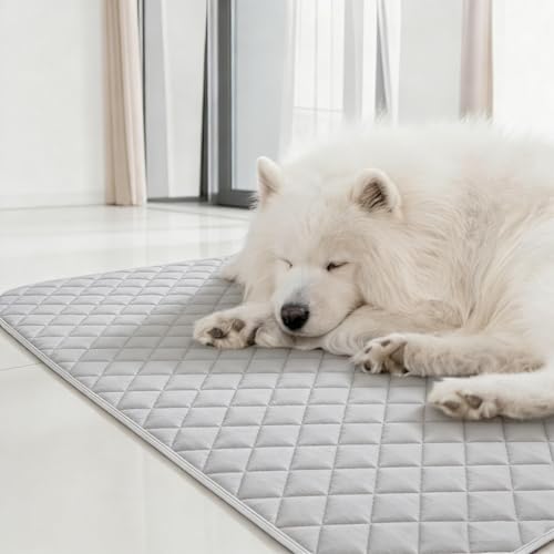 Reusable Puppy Pads Waterproof Washable Puppy Pad 20 x 28-inch Large Dog Puppy Whelping Pet Pee Ded Pad (2 Pack)