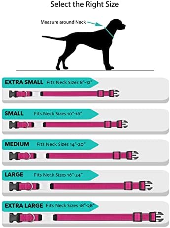 Personalized Dog Collar - Custom Engraved ID Tags with Reflective Material - Small Medium or Large Size with Name Plate (X-Small, Pink)
