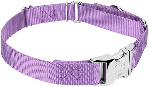 Country Brook Petz - Martingale Dog Collar - Heavy Duty Nylon Adjustable Martingale Dog Collar with Metal Buckle for Small Medium Large Breeds 30+ Color Options (1 Inch, Large, Lavender)