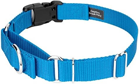 Martingale Dog Collar - Heavy Duty Nylon Adjustable Martingale Dog Collar with Plastic Buckle for Small Medium Large Breeds - 30+ Colors (3/4 Inch, Small, Ice Blue)