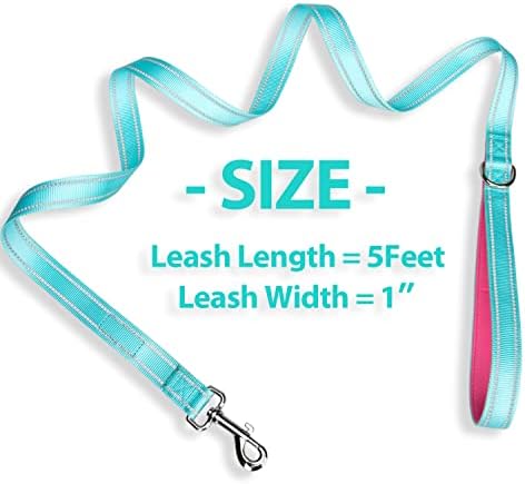 PHOEPET 5 Feet Dog Leash with Comfortable Padded Handle Easy Snap Clasp