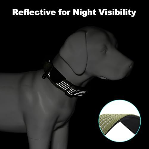 Plutus Pet Tactical Dog Collar with Pocket for AirTag, Ranger Green, S