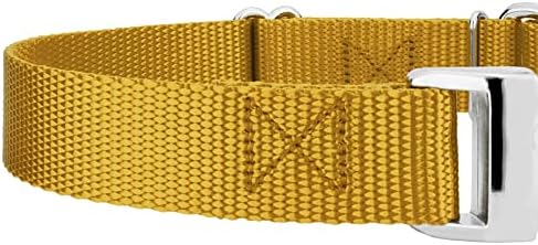 Country Brook Petz - Martingale Dog Collar - Heavy Duty Nylon Adjustable Martingale Dog Collar with Metal Buckle for Small Medium Large Breeds - 30+ Color Options (3/4 Inch, Small, Gold)