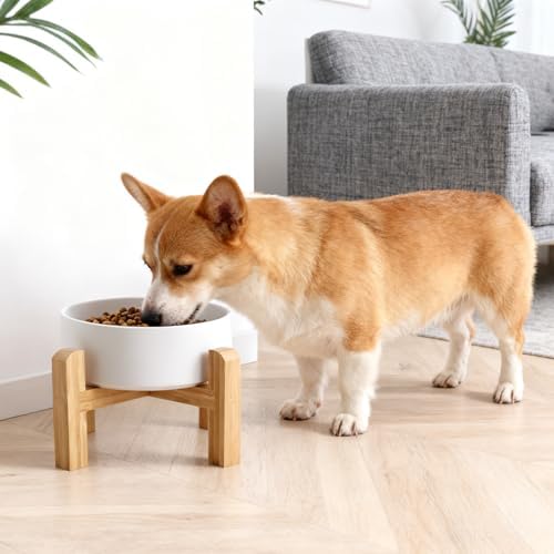 Elevated/Raised Ceramic Dog Bowl with Bamboo Stand,6 Inch 3.6 Cups Non Slip Heavy Weighted Single Pet Dish, for Small Medium Breed & Cats,Reduces Neck Strain White