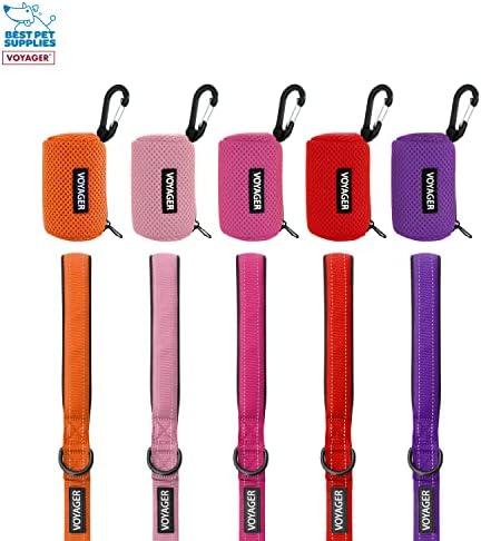 Best Pet Supplies Dog Poop Bag Holder Leash Attachment with Reusable Dispenser for Travel, Walking, Park, and Outdoor Use, Durable with Clip-On - Lime Green, Pack of 2, Mesh Dispenser w/30 Bags