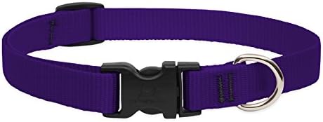 LupinePet Basics 3/4" Purple 15-25" Adjustable Collar for Large Dogs