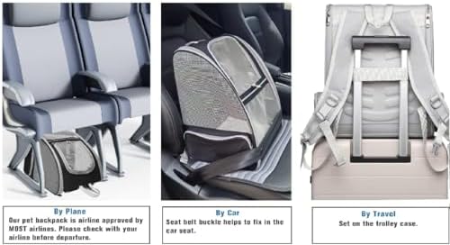 Pet Aura Portable Outdoor Pet Carrier Backpack. with Dual Ventilation System & See Through Cabin. Travel Bag for Small Dog/cat (Gray).