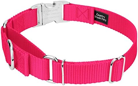 Country Brook Petz - Martingale Dog Collar - Heavy Duty Nylon Adjustable Martingale Dog Collar with Metal Buckle for Small Medium Large Breeds 30+ Color Options (1 Inch, Medium, Hot Pink)