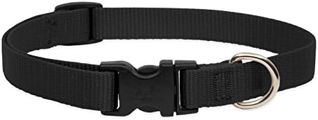 LupinePet Basics 3/4" Black 15-25" Adjustable Collar for Large Dogs