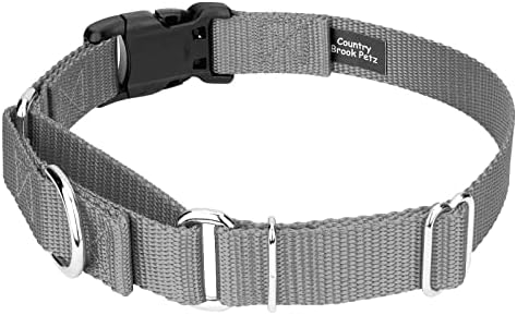 Martingale Dog Collar - Heavy Duty Nylon Adjustable Martingale Dog Collar with Plastic Buckle for Small Medium Large Breeds - 30+ Colors (1 Inch, Large, Silver)