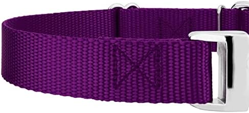 Country Brook Petz - Martingale Dog Collar - Heavy Duty Nylon Adjustable Martingale Dog Collar with Metal Buckle for Small Medium Large Breeds 30+ Color Options (1 Inch, Extra Large, Purple)