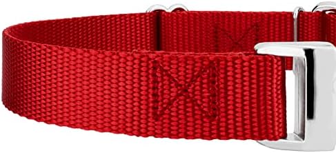 Country Brook Petz - Martingale Dog Collar - Heavy Duty Nylon Adjustable Martingale Dog Collar with Metal Buckle for Small Medium Large Breeds 30+ Color Options (1 Inch, Extra Large, Red)