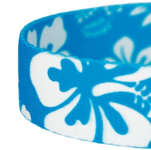 Country Brook Petz - Blue Hawaiian Everyday Dog Leash - Summer Breeze Collection Featuring Sunny Designs (6 Foot, 1/2 Inch Wide)