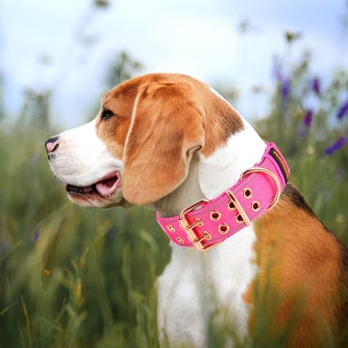 Heavy Duty Dog Collar for Medium Large Dogs,Pink,Medium