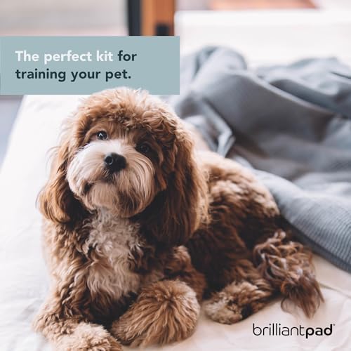 BrilliantPad Puppy Training Spray Kit, Attractant Repellent & Stain Remover