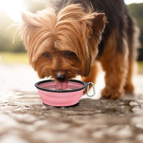 Kytely Large Collapsible Dog Bowls 2 Pack, 34oz Foldable Dog Travel Bowl