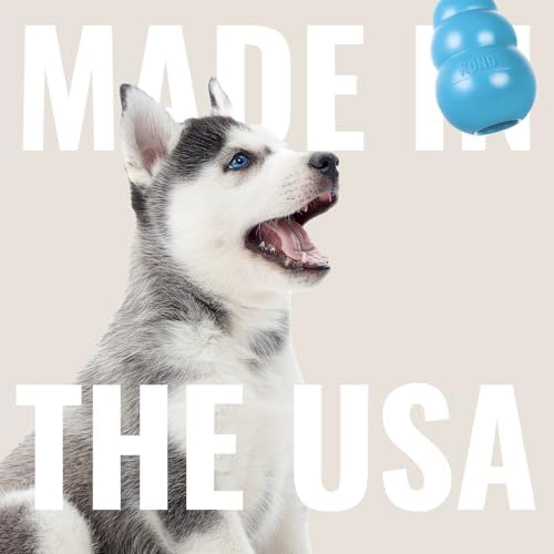 KONG Puppy - Natural Teething Rubber Chew Toy for Dogs - Stuffable Dog Toy for Extended Playtime - Chew & Fetch Toy for Puppies - for Medium Puppies - Blue (Pack of 4)