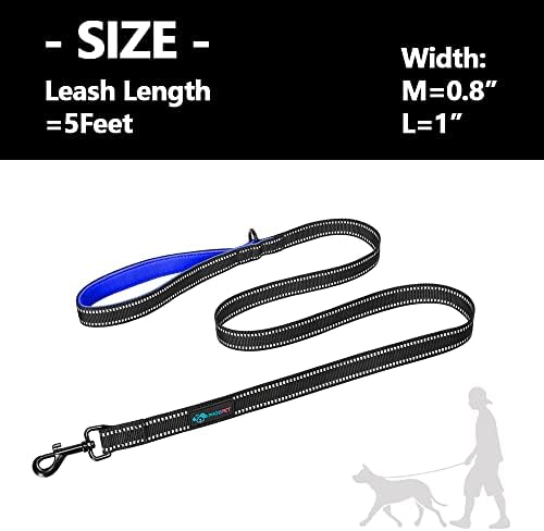 PHOEPET 5 Feet Dog Leash - Dual-Side Reflective - Soft Padded Handle