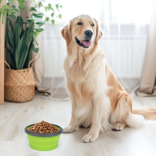 2pcs Collapsible Dog Bowls, Silicone Food & Water Travel Bowl with Lid Portable Expandable Pet Feeding & Drinking Cup/Saucer for Walking, Kennels, and Camping 350ml (Green, Blue)