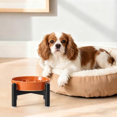 Elevated Slow Feeder Dog Bowl, 0.8 Cups Ceramic Raised Slow Feeder with Stainless Stand, 6.3 Inch Wide Lifted Dog Bowl for Small Breeds to Control Eating Speed, Orange