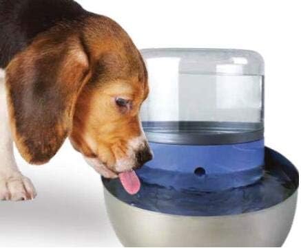Pioneer Pet 3 Pack of T-Shaped Filter for Food, Water and Serene Fountain