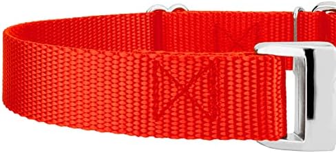 Country Brook Petz - Martingale Dog Collar - Heavy Duty Nylon Adjustable Martingale Dog Collar with Metal Buckle for Small Medium Large Breeds 30+ Color Options (3/4 Inch, Small, Hot Orange)