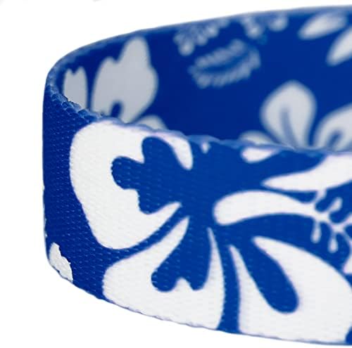 Country Brook Petz - Royal Blue Hawaiian Everyday Dog Leash - Summer Breeze Collection Featuring Sunny Designs (4 Foot, 5/8 Inch Wide)