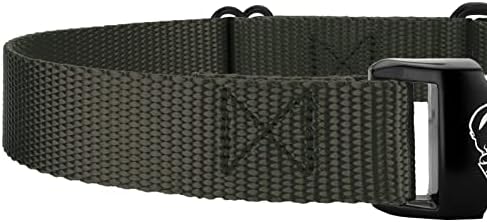 Country Brook Petz - Martingale Dog Collar Heavy Duty Nylon Adjustable Martingale Dog Collar with Metal Buckle for Small Medium Large Breeds 30+ Color Options (5/8 Inch, Extra Small, Dark Olive Drab)