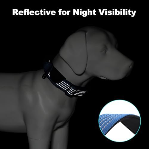 Plutus Pet Tactical Dog Collar with Pocket for AirTag, Blue, L