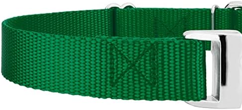 Country Brook Petz - Martingale Dog Collar - Heavy Duty Nylon Adjustable Martingale Dog Collar with Metal Buckle for Small Medium Large Breeds 30+ Color Options (5/8 Inch Extra Small, Christmas Green)