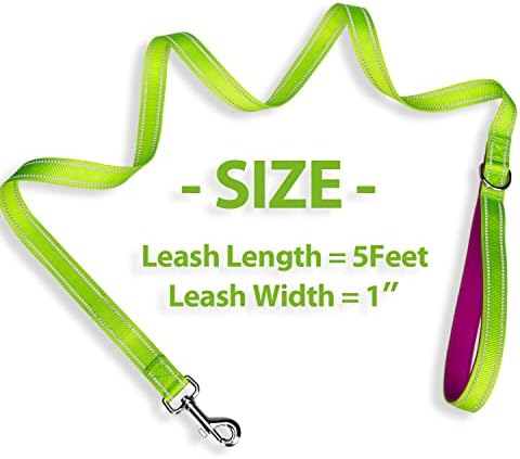 PHOEPET 5 Feet Dog Leash with Comfortable Padded Handle Easy Snap Clasp