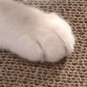 FluffyDream Cat Scratcher Cardboard Lounge Bed, Cat Scratching Pad, Pet Lounger (Bone)